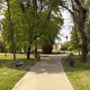 Sindaco Gussola Stefano Belli Franzini