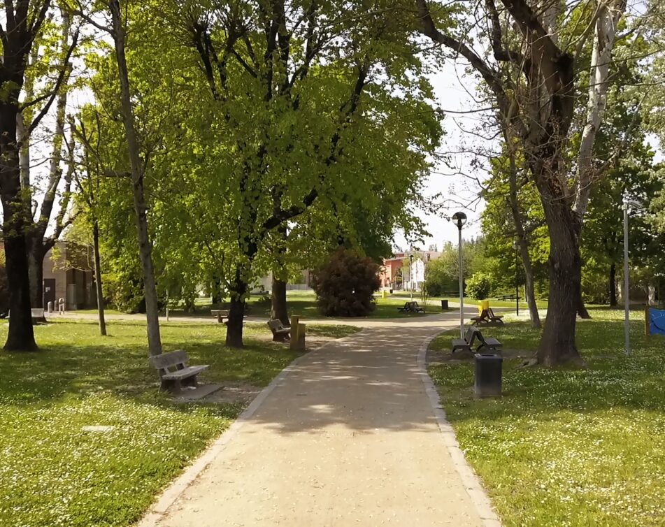 Sindaco Gussola Stefano Belli Franzini