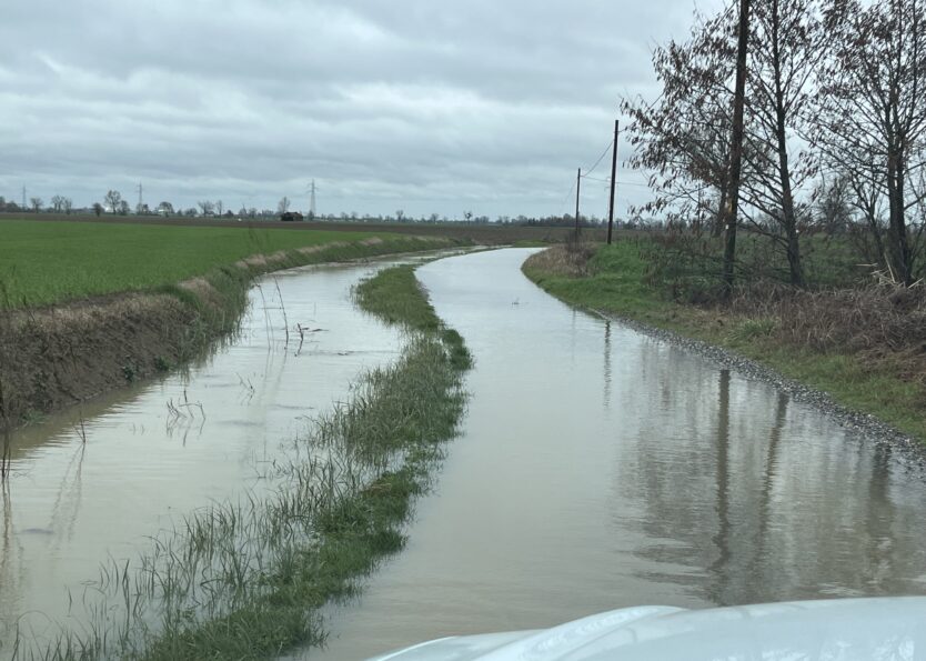 Sindaco Gussola Stefano Belli Franzini