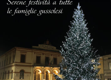 Sindaco Gussola Stefano Belli Franzini