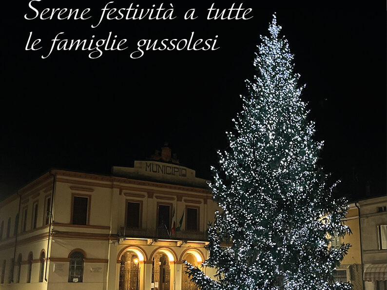 Sindaco Gussola Stefano Belli Franzini